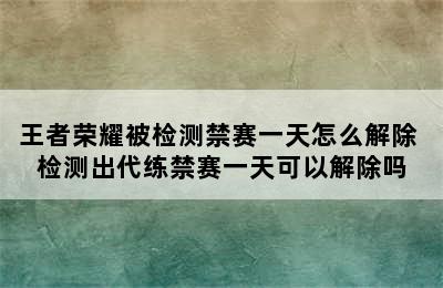 王者荣耀被检测禁赛一天怎么解除 检测出代练禁赛一天可以解除吗